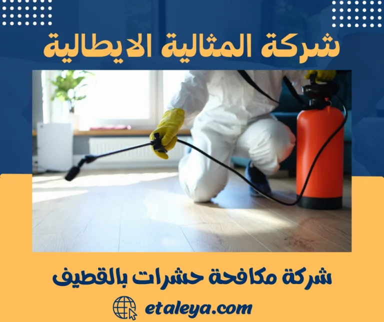 شركة مكافحة حشرات بالقطيف