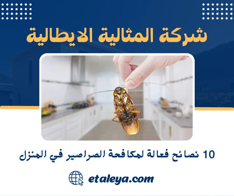 10 نصائح فعالة لمكافحة الصراصير في المنزل