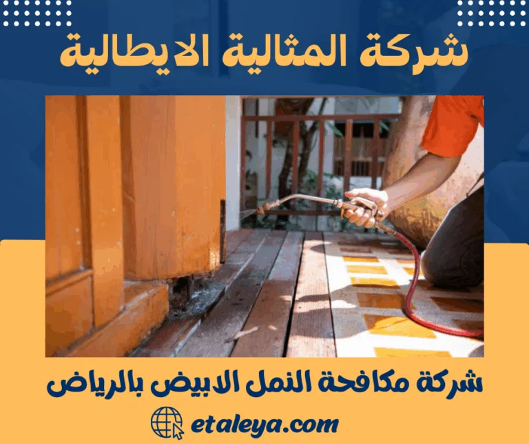 شركة مكافحة النمل الابيض بالرياض
