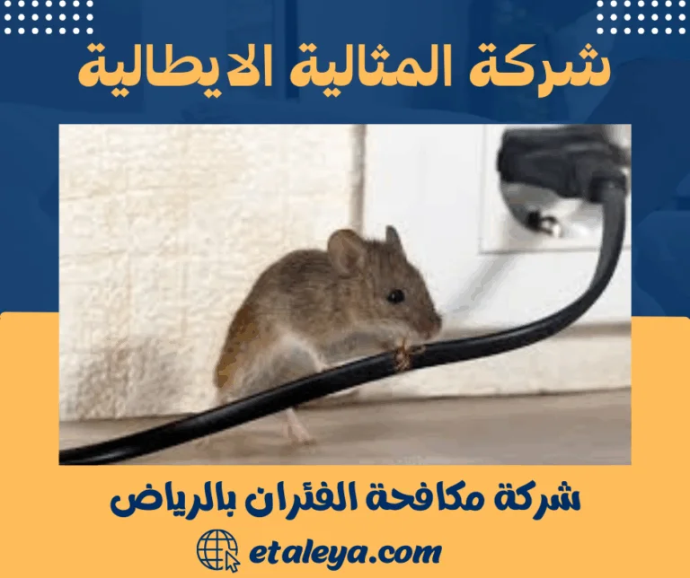 شركة مكافحة الفئران بالرياض