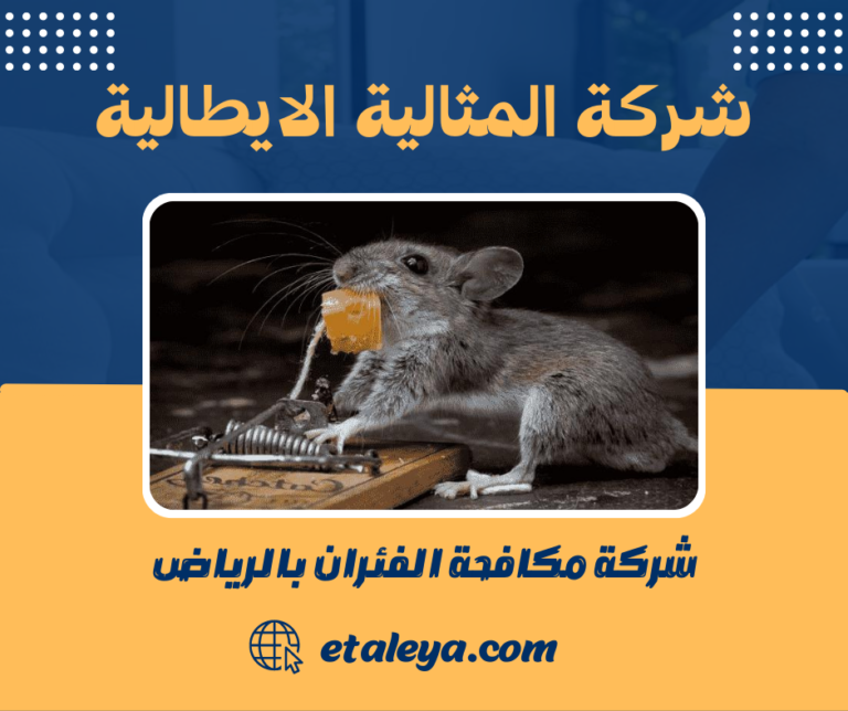 شركة مكافحة الفئران بالرياض 0583471399 ابادة الفئران و القوارض بالرياض