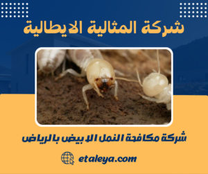 شركة مكافحة النمل الابيض بالرياض