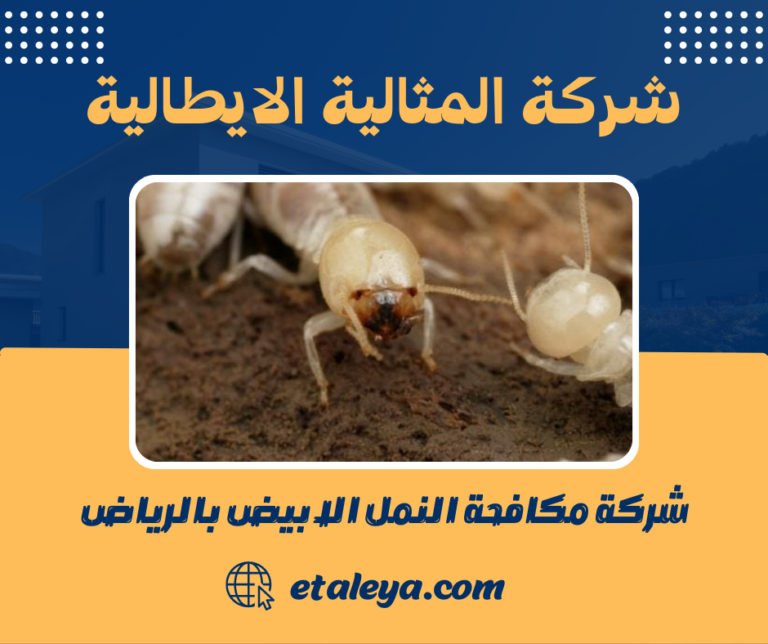 شركة مكافحة النمل الابيض بالرياض 0583471399  رش الدفان و الارضة بالرياض