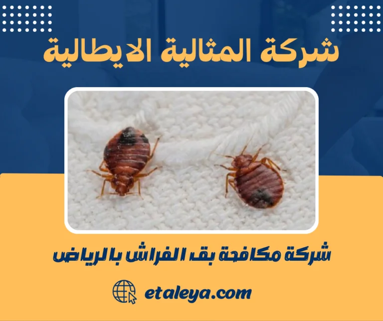 شركة مكافحة بق الفراش بالرياض