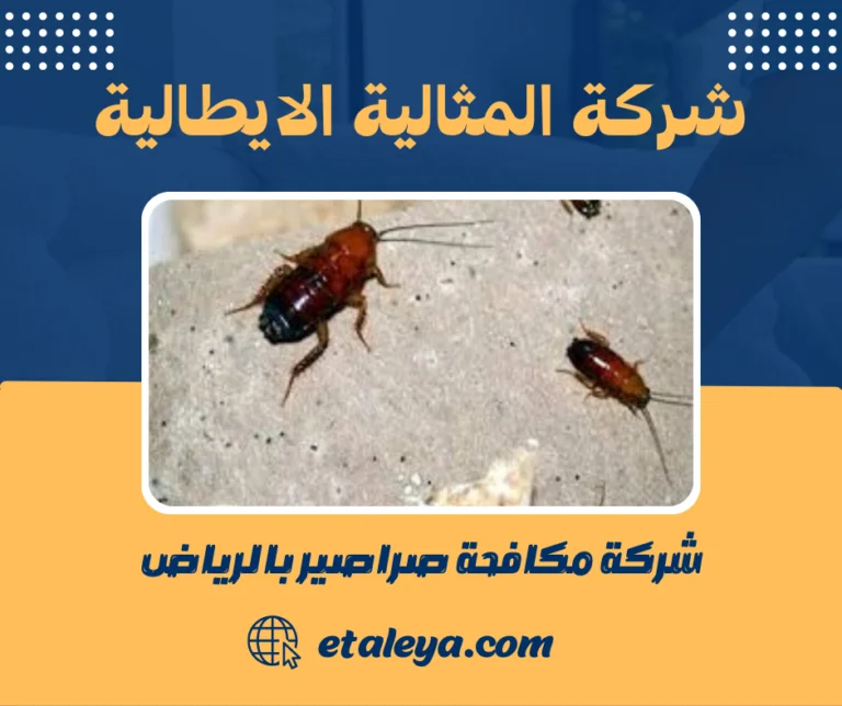 شركة مكافحة صراصير بالرياض