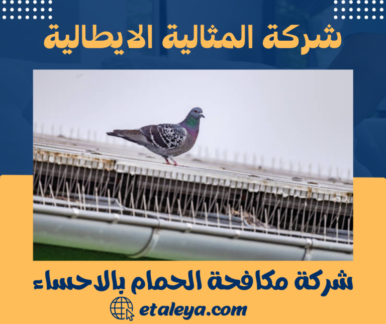 شركة مكافحة الحمام بالاحساء