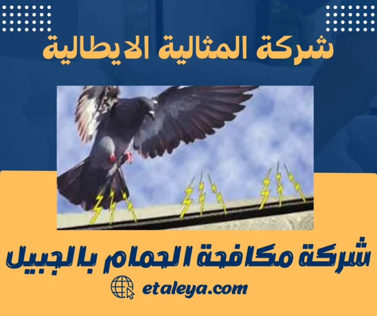 شركة مكافحة الحمام بالجبيل