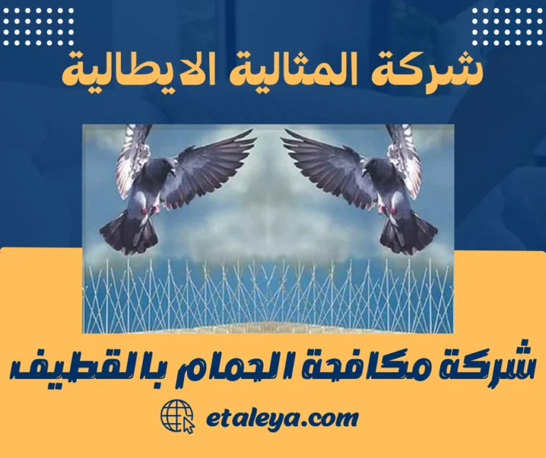 شركة مكافحة الحمام بالقطيف