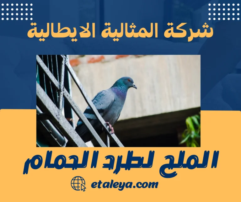 الملح لطرد الحمام