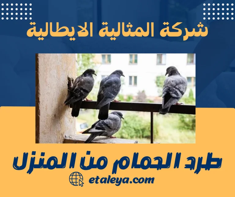 طرد الحمام من المنزل