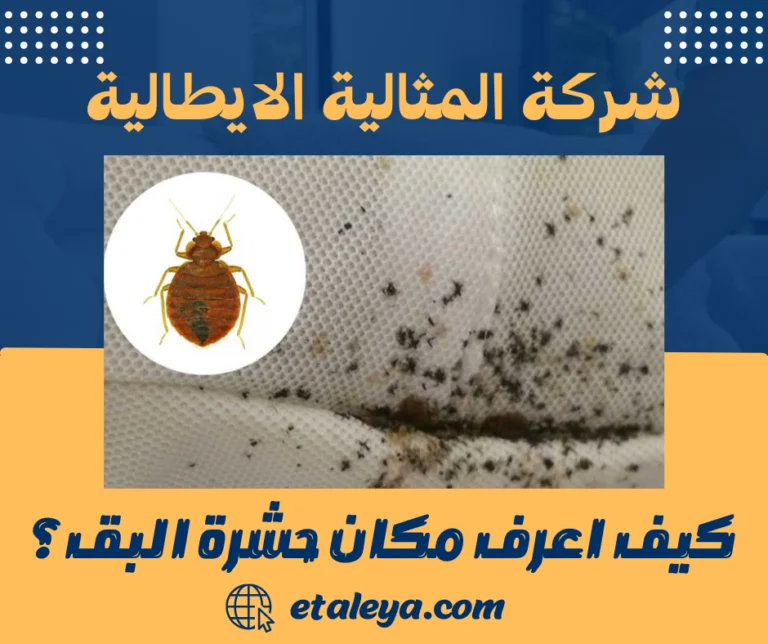 كيف اعرف مكان حشرة البق؟