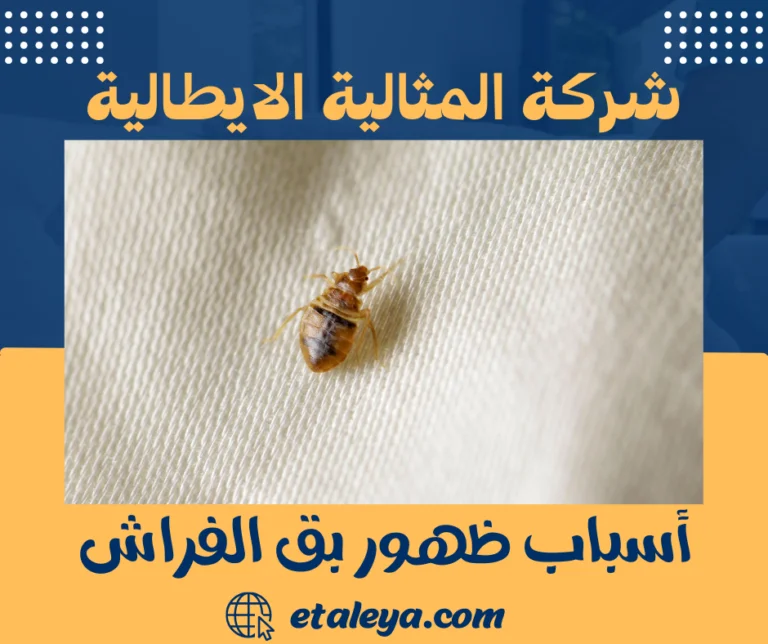 أسباب ظهور بق الفراش