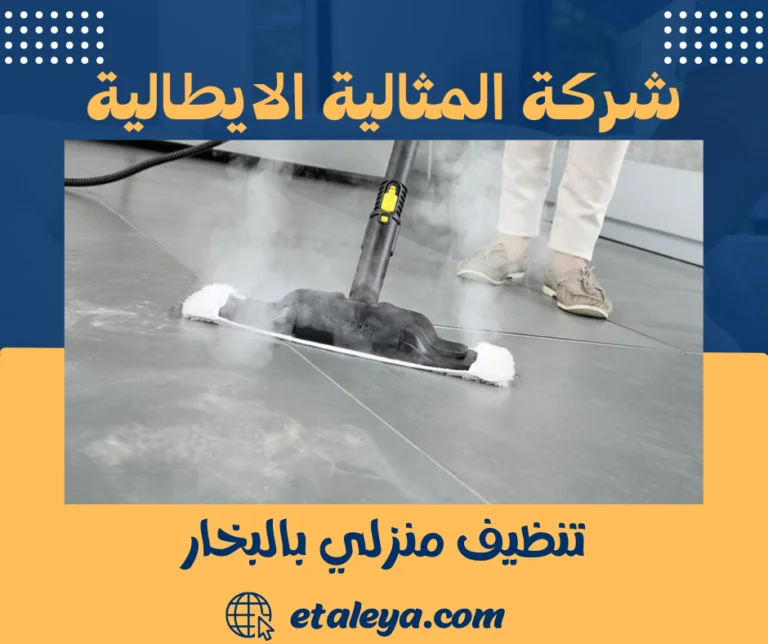 تنظيف منزلي بالبخار