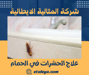 علاج الحشرات في الحمام