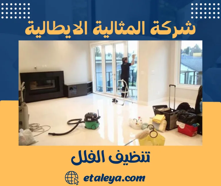 تنظيف الفلل