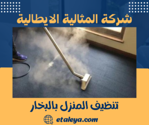 تنظيف المنزل بالبخار