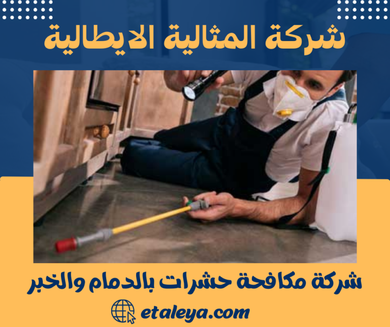 شركة مكافحة حشرات بالدمام والخبر