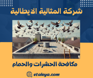 مكافحة الحشرات والحمام